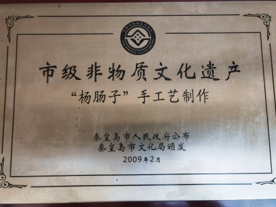 市级非物质文化遗产